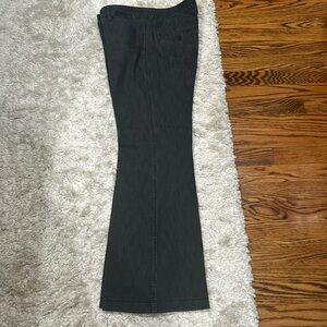 Express Design Studio Editor Pants